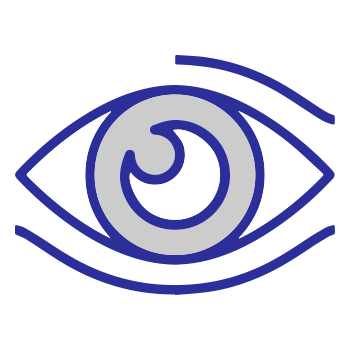 Our Vision icon